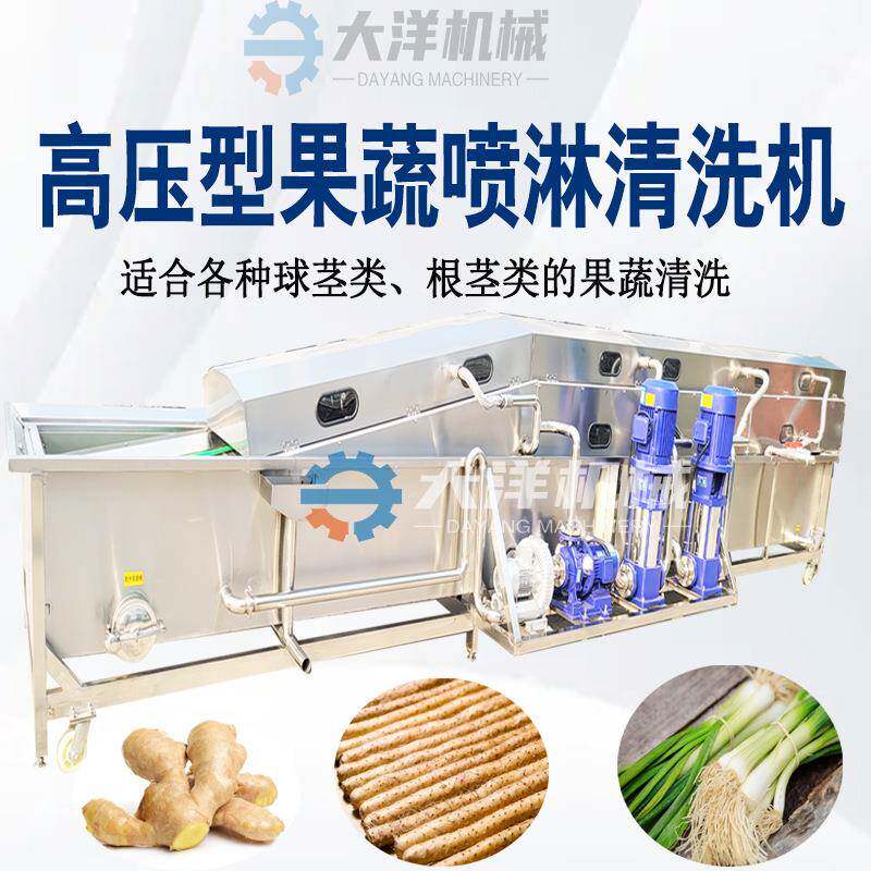 高压喷淋式生姜清洗机连续式高压大葱清洗设备不锈钢山药清洗机械