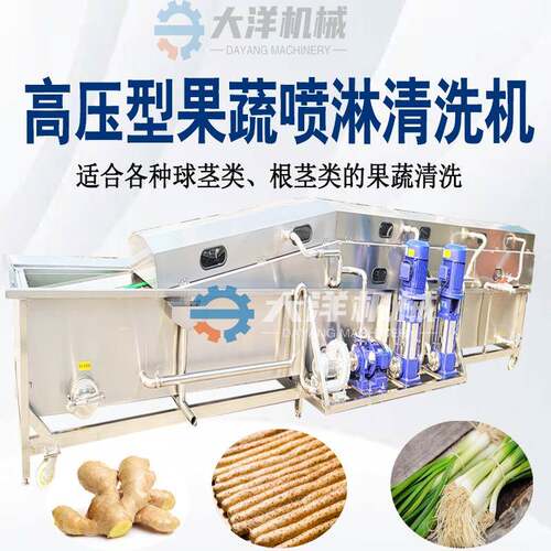 高压喷淋式生姜清洗机连续式高压大葱清洗设备不锈钢山药清洗机械