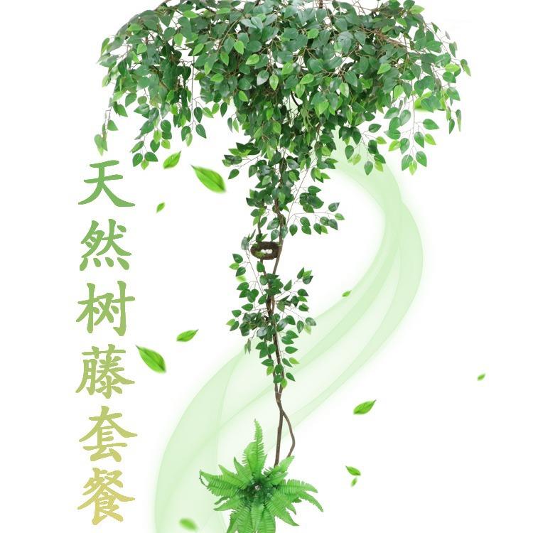 真叶树枝树藤假叶客厅仿真树室仿内绿植盆树栽藤蔓子假花藤条植物