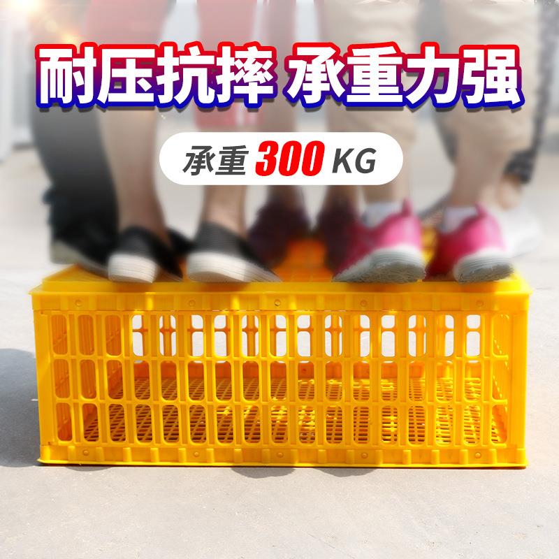 塑料鸡笼运输笼成鸡鸭周转鸡鹅箱兔笼笼家用鸽鸡筐XHL加厚鸡笼子