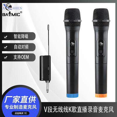 DM-199PMV段固频手持麦话筒无线麦克风接收器一拖二家用户外