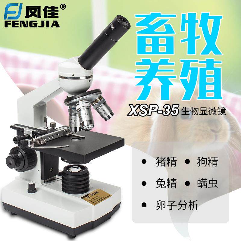 凤佳显微镜XSP-35畜牧水产养殖显微镜可看猪精狗精兔精生物显微镜