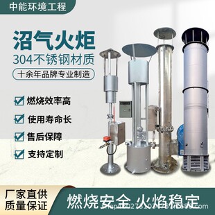 外燃式沼气放散火炬燃烧器内燃式304不锈钢碳钢防爆自动点火火炬