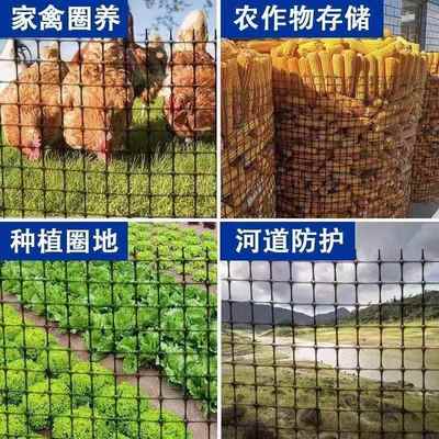 围栏农田防护网玉米养殖网养鸡圈格栅塑料家禽圈养