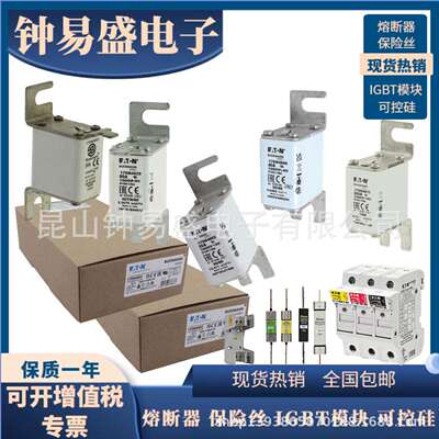 巴斯曼Bussmann熔断器1000V35A170M4805，170M4825