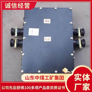 XBT矿用通讯电缆分线箱 XBT通讯电缆分线箱发货及时