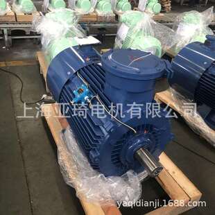 CE认证防爆电机气体防爆 ExdⅡBT4 粉尘防爆隔爆型ExdⅡAT4