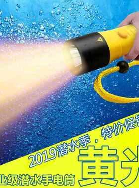 正品亮普达专业潜水手电水筒户外防水LED强光充电下照明星超T6夜