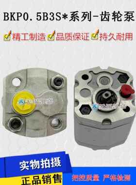 伯顿博登齿轮泵Bkp0.5B1D0.38G0L2/0.26G0L2动力单元可调液压泵