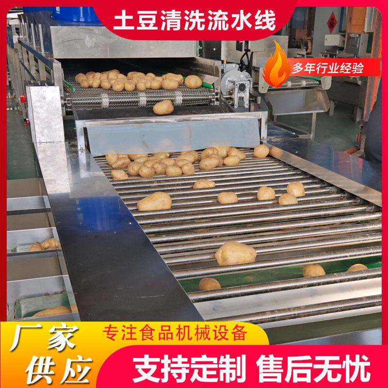 商用大型山药毛刷果蔬清洗机土豆不伤皮线莲藕设备