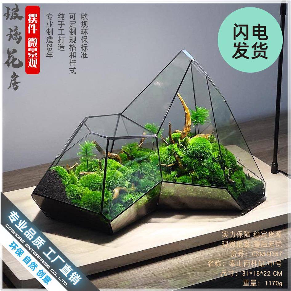 微景观苔藓雨林缸几何森林墙玻璃花房不规则生态瓶多肉水草缸花盆