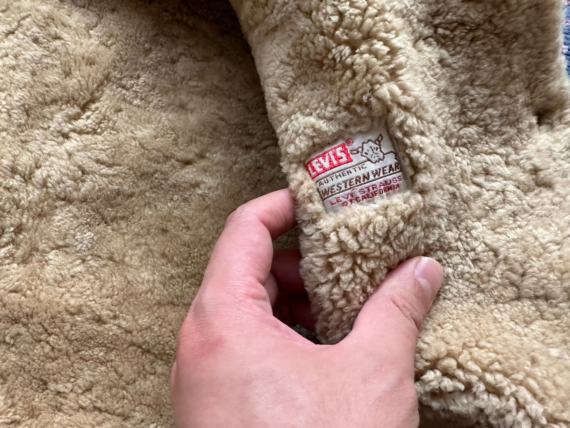 Levi's Brown Suede Shearling Collar Jacket — back