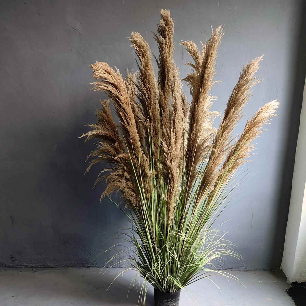 天然芦假花绿狗尾造草商苇场店面植植物景家居盆栽摆MY-PW250件仿