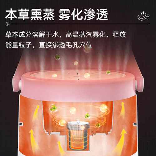温鸿艾灸熏蒸座益德无烟靠背座椅坐凳凳家用灸仪干湿两用臀部桶坐