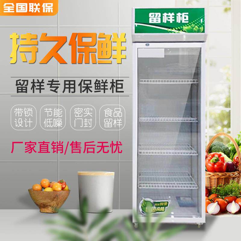 冷藏保鲜幼儿园食品留样柜带锁餐厅食堂家用小冰箱商用展示留样柜