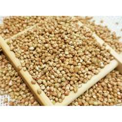 /云南西盟佤山米荞500g特产荞麦米天然杂粮全胚芽非苦荞米