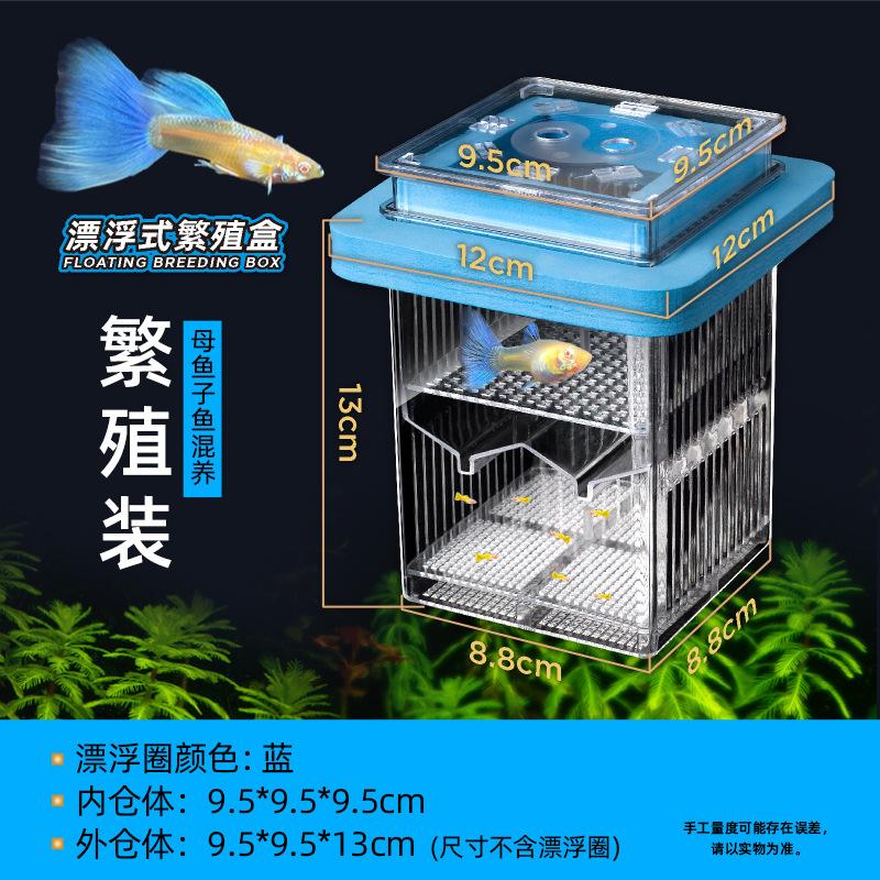 迷你大号鱼缸产卵隔离鱼缸繁殖隔离盒单格苗鱼孔雀鱼网箱内养产房图片