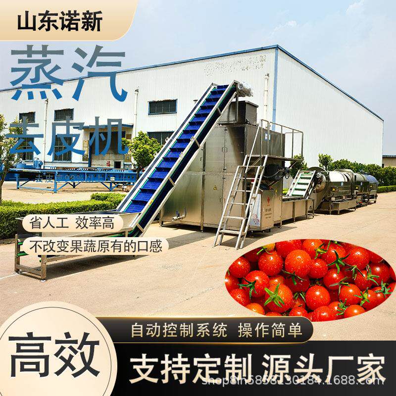 诺新手指胡萝卜蒸汽去皮机批量去皮红枣脱皮机