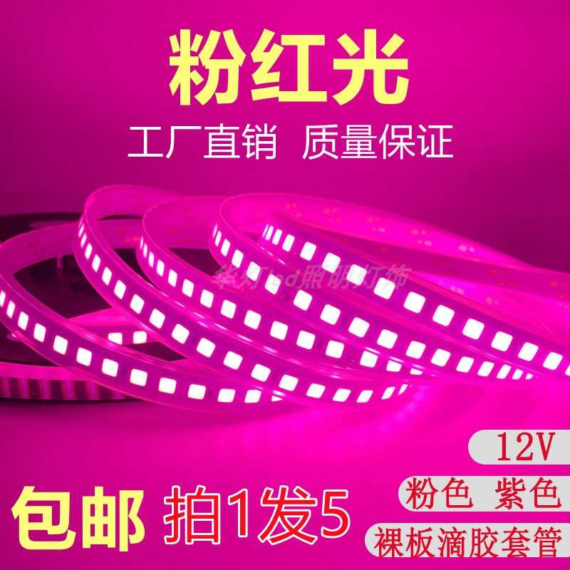 led灯带条12v粉红光背胶自粘套管防水玫红紫色超高亮装饰浪漫KTV