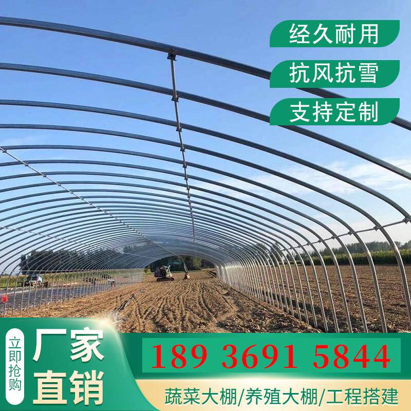大棚骨架钢管全套蔬菜种植养殖猪牛鸡椭圆管半坡暖棚保温钢架连栋