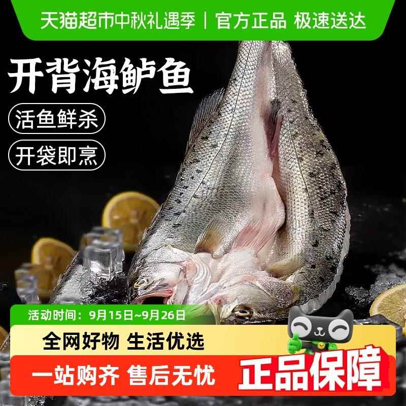 海鲈鱼开背新鲜冷冻鲜活深海鱼白蕉七星海卢鱼水产烤鱼半成品商用