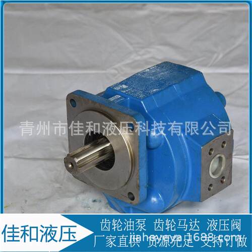 加工定制低齿CBG2050轮泵G205压0运B行稳定C来图定制