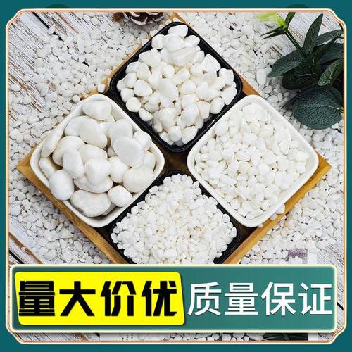 石子多鹅卵石雨花石小白栽培基质