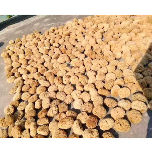 美轮美奂艺术涂料海藻拍海藻绵海藻滚筒艺术涂料厂家批发