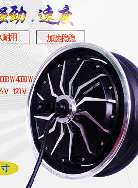 13寸电机3000W2000W电动车电摩跑车摩托改装大功率高速度版后轮毂