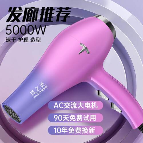 发廊专用吹风机吹头发5000W大风力理髲店家用大功率9900W负离子静
