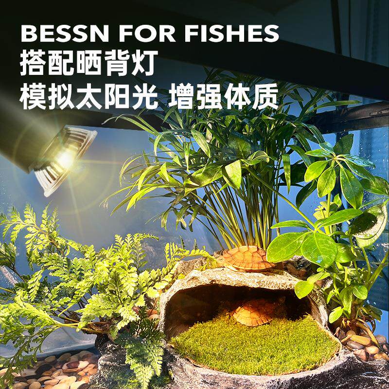乌龟缸超白玻璃家用底部排水生态龟缸造景养乌龟缸带晒台饲养鱼缸