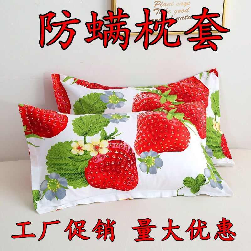 枕头套一对成人大号枕套学生宿舍可水洗枕头套单人枕套枕芯赵之周