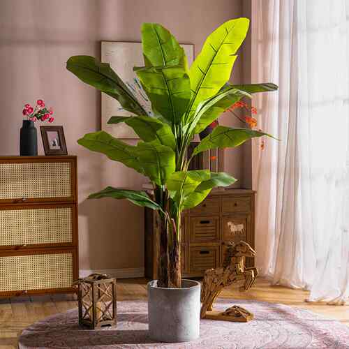 森艺树诚大型真芭蕉植物仿生假树绿植室内客厅造饰mhg-0001景仿装