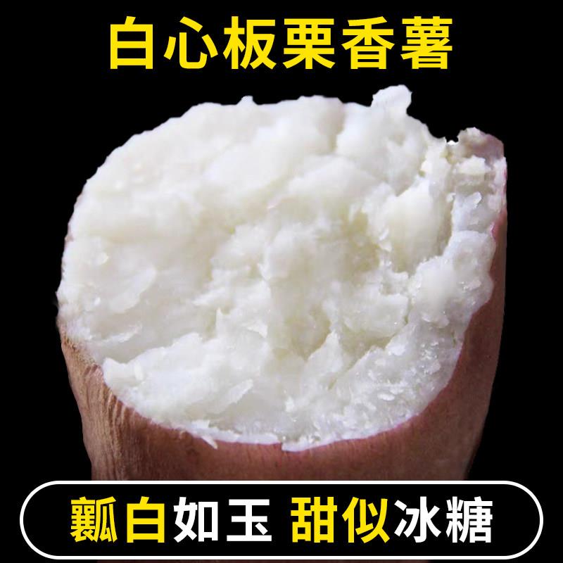 东北哈密冰糖薯新鲜白心板栗白薯面蜜薯白玉地瓜沙地农家瓦房店