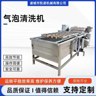 柠檬橙子苹果气泡清洗机山菜地菜高压喷淋清洗设备果蔬清洗机