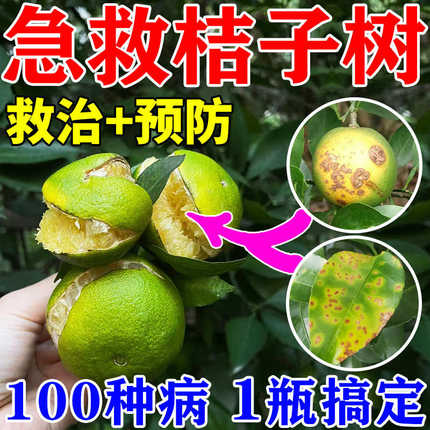 桔子树专用药果树柑橘黄化症修复剂黄龙病溃疡病沙皮病农药