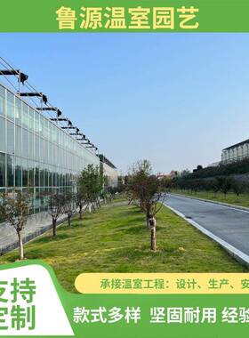 纹络式连栋玻璃温室抗风载雪能力强环境可控生态观光农业玻璃温室