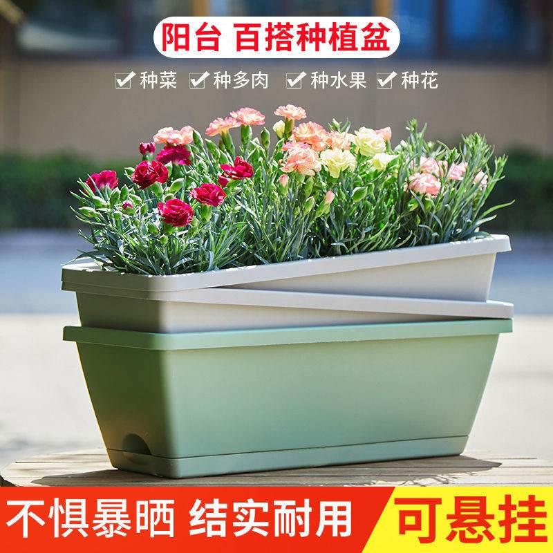 。太阳花盆长方形塑料花盆加厚耐用阳台蔬菜种植盆种菜专用箱种菜