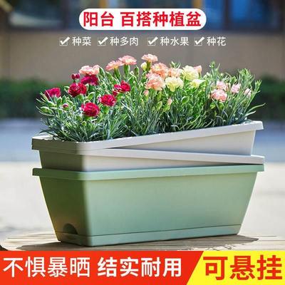 。太阳花盆长方形塑料花盆加厚耐用阳台蔬菜种植盆种菜专用箱种菜