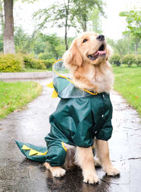 InnoPet金毛雨衣四脚全包变身装中大型犬