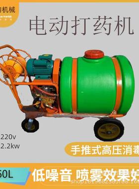 苏州 手推式打药机 160L 农用喷药机 汽油动力移动式打药机