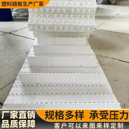 塑料链板输送带果蔬清洗流水线挡板式PP网带输送带尼龙链板输送带