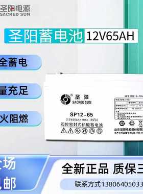 圣阳蓄电池12V65AH铅酸免维护SP12-65EPSUPS机房直流屏主机专用