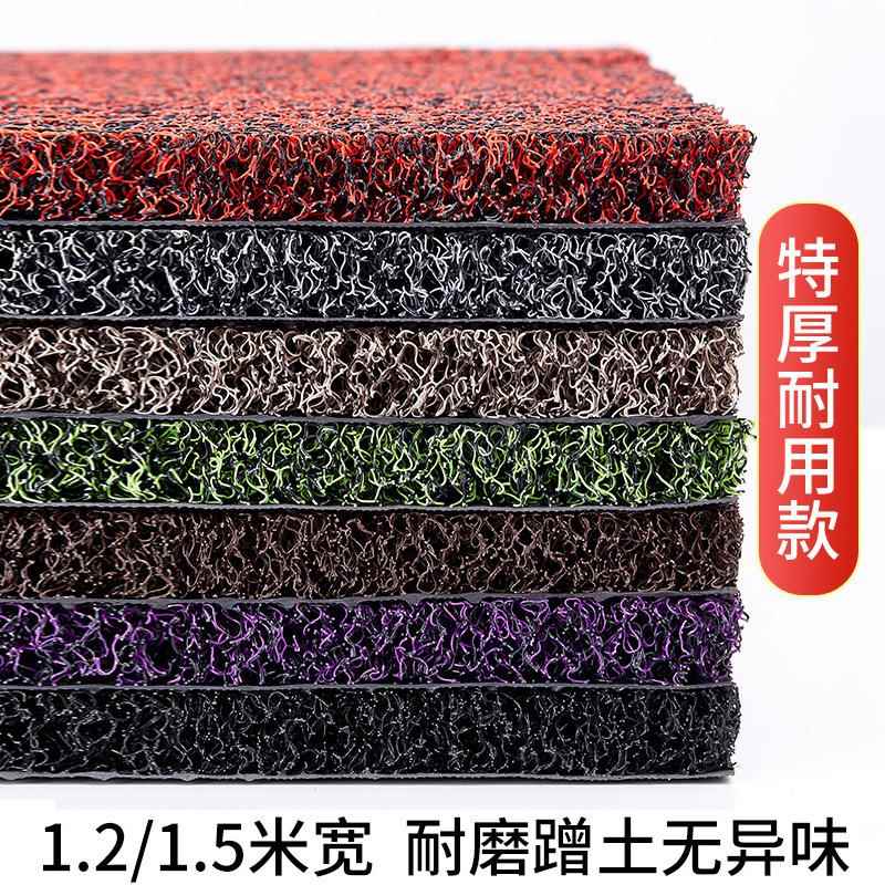加厚进门丝圈地垫家用门口防滑加厚脚垫入户门防水塑料地毯可裁剪