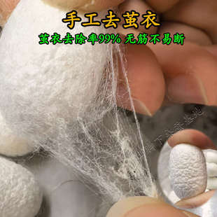 桑蚕茧可抽蚕丝扇手工彩绘天然带蛹双宫干蚕茧壳做蚕丝皂被子实验