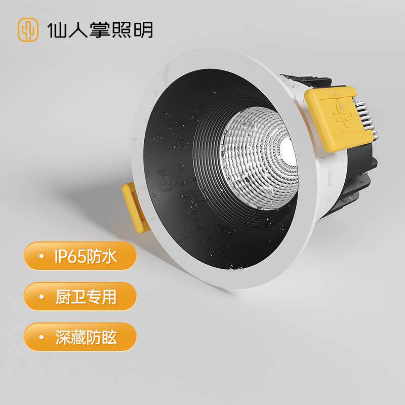 仙人掌照明LED防水雾防潮射灯IP65筒灯浴室悬吊式天花板户外嵌入
