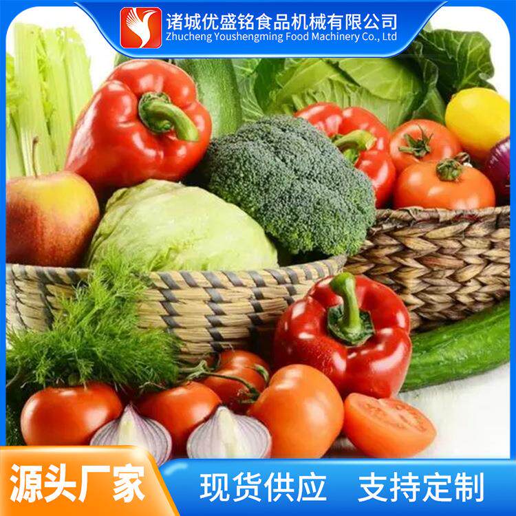 大型口蘑蔬菜清洗机 全套娃娃菜毛辊清洗机 西蓝花喷淋冲浪设备
