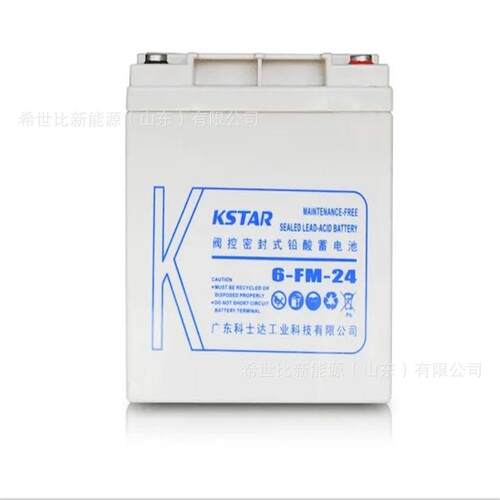 科士达蓄电池6-FM-24安防系统12V24AH制造和监控工程备用电源电池