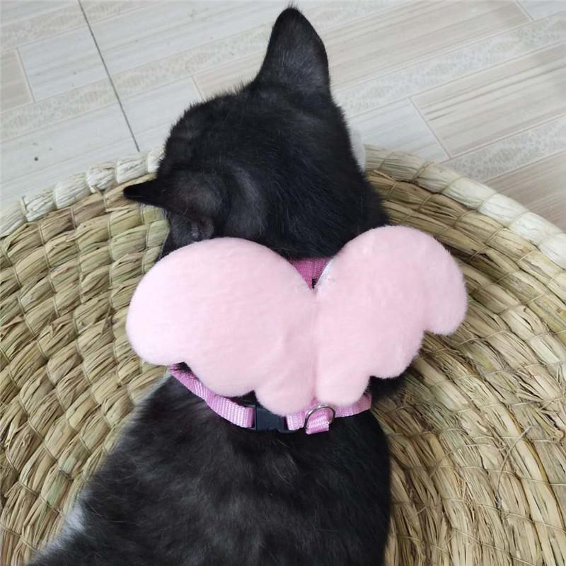 宠物用品 新款带翅膀小天使牵引胸背带狗狗猫咪幼犬牵引绳子