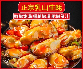 正宗乳山生蚝罐头海蛎子牡蛎鲜烤即食，现剥肉蒜蓉生蚝麻辣小海nfrv